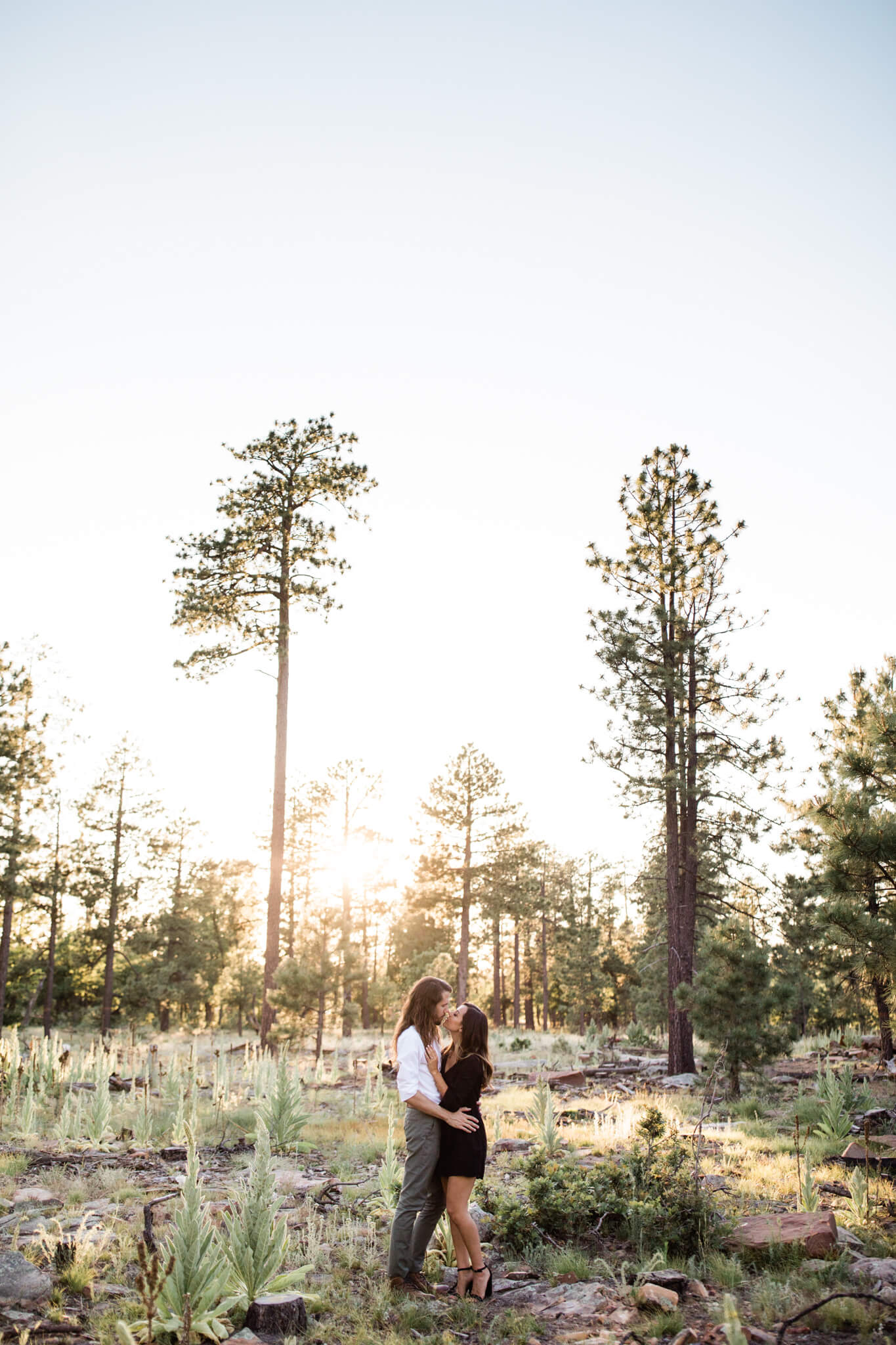 Engaged couple stands in a meadow surrounded by trees during their forest engagement photo session.