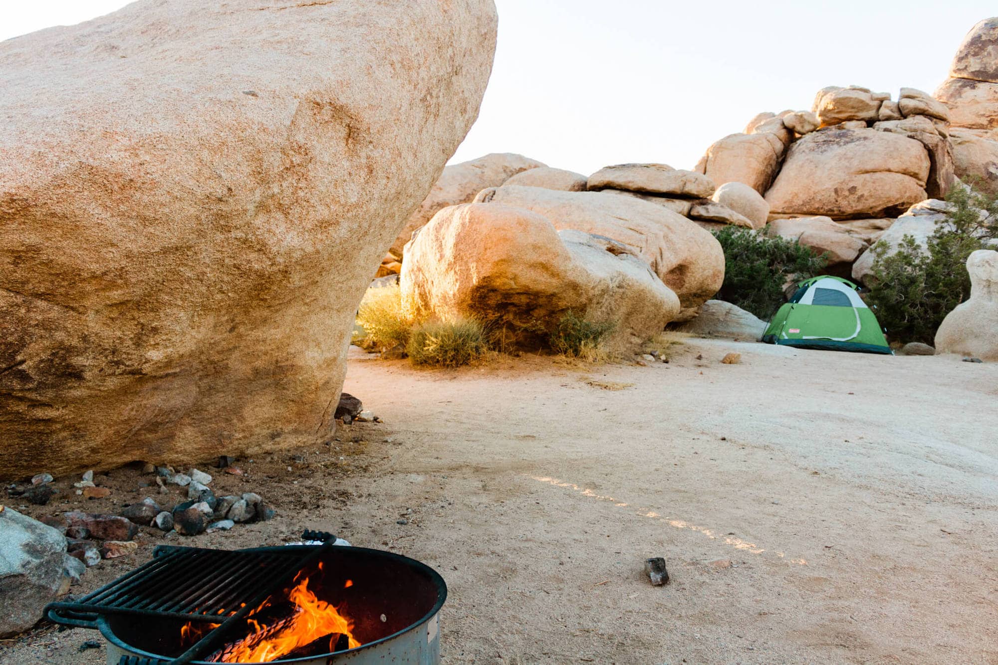 If you're planning an elopement in Joshua Tree National Park, then this is the guide is made for you. Here’s everything you need to know about planning a desert elopement.