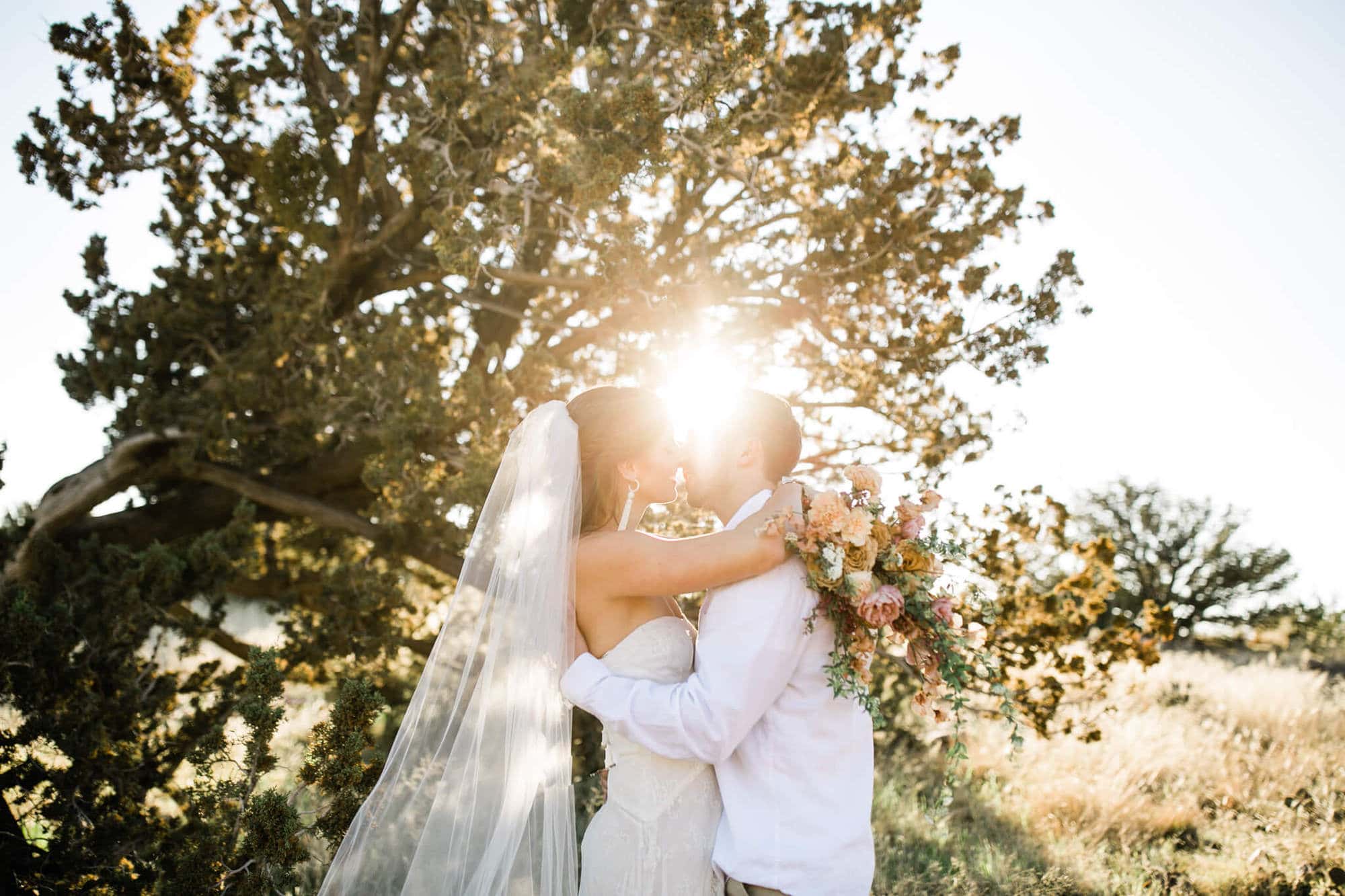 A portraits of the bride and groom. They kiss in front of a juniper tree.