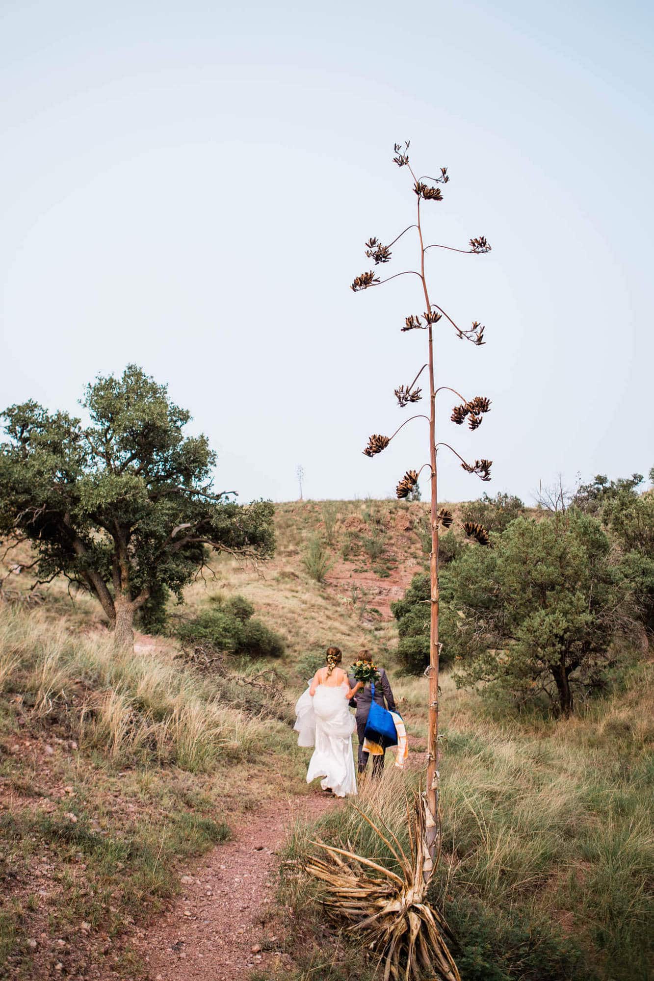 This dog friendly hiking elopement in Southern Arizona uses the Arizona Trail as a perfect back drop for this chill and emotional elopement. 