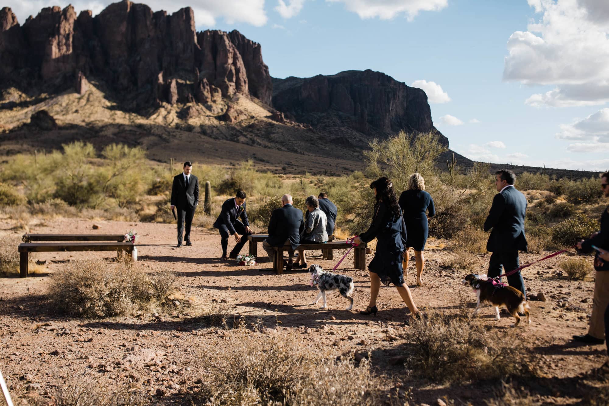 This Lost Dutchman State Park Wedding showcases exactly the desert is the best. A day full of family, love, and a stunning sunset- it's not to be missed.