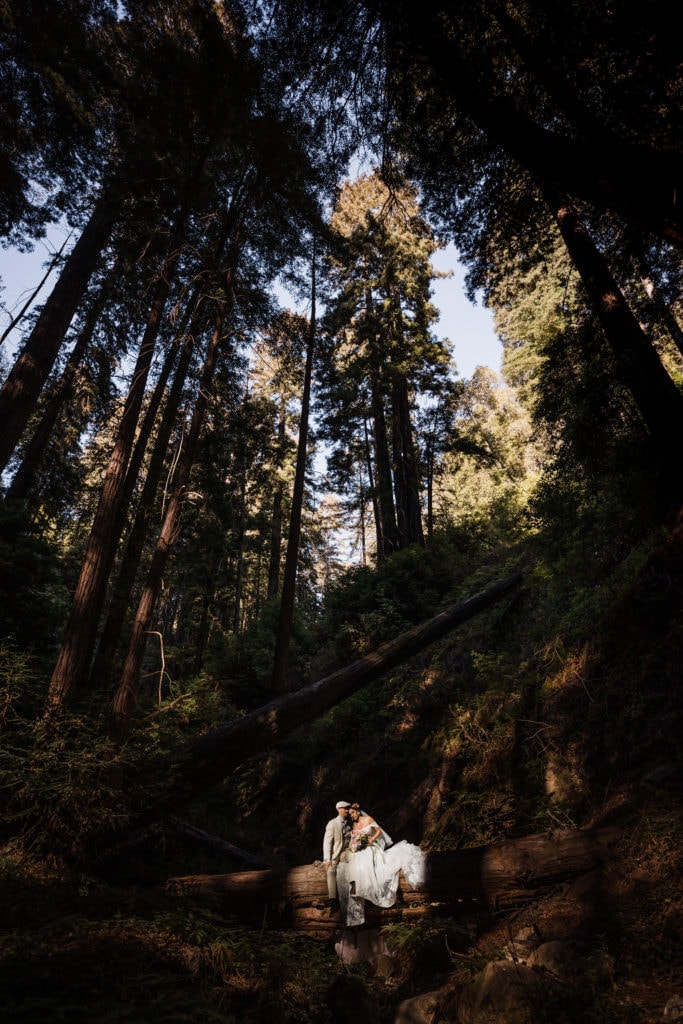 The Redwoods are one of the most romantic elopement spots. Check out this blog post with all the planning details you need. 