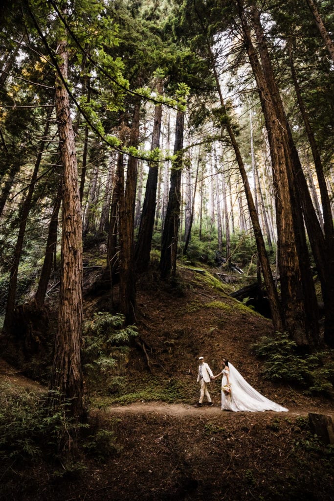 The Redwoods are one of the most romantic elopement spots. Check out this blog post with all the planning details you need. 