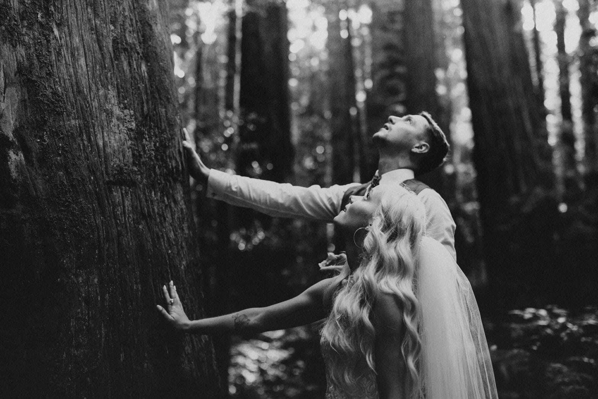 This couple had the most magical and emotional intimate wedding in the Redwoods. You have to see all the joy and beauty yourself.