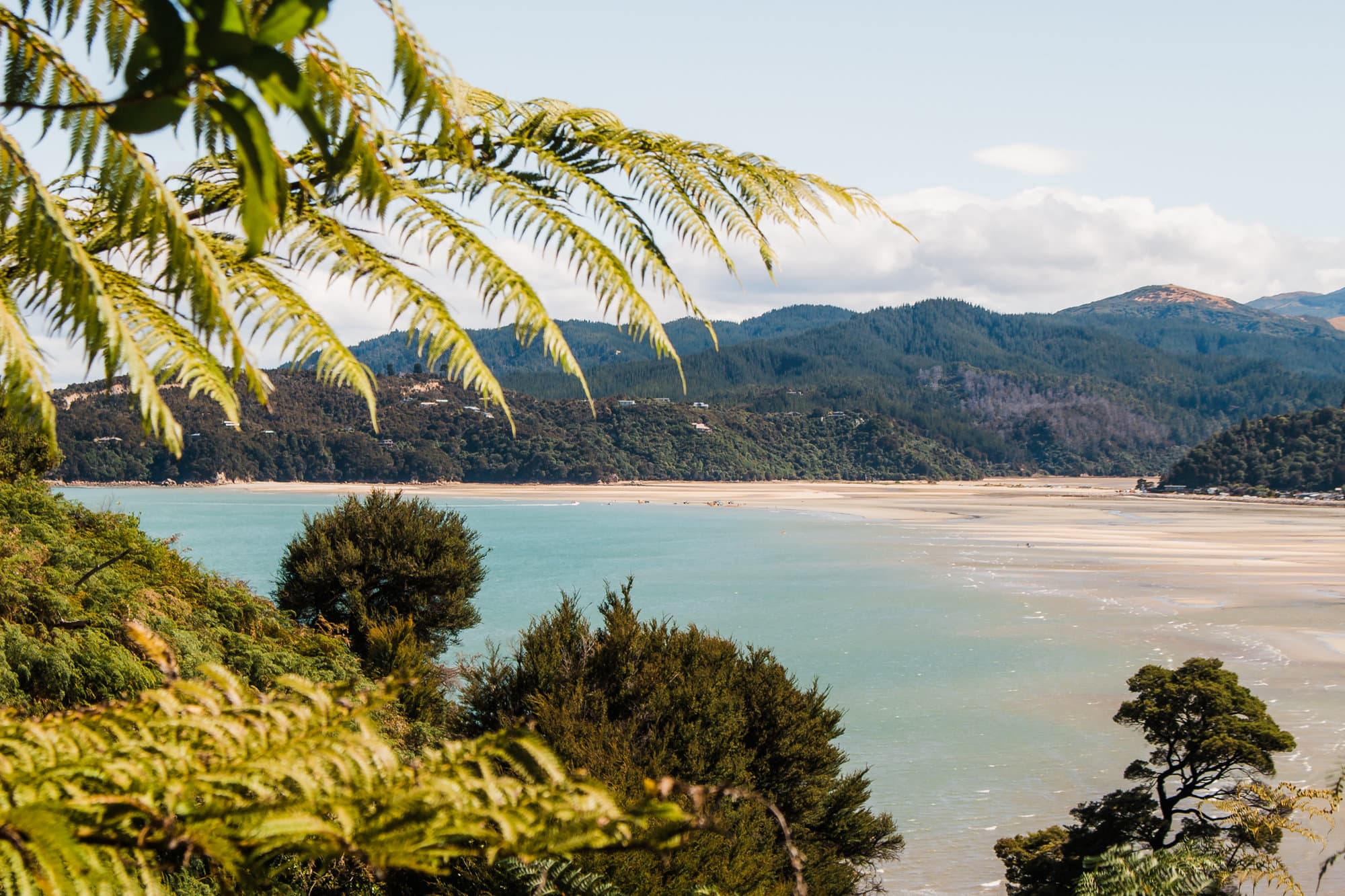 A view of Abel Tasman's beaches in New Zealand. 