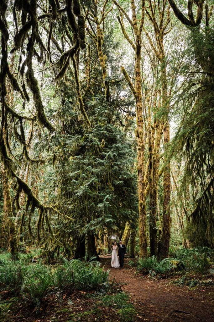 Bride and groom hold hands as they walk through an old-growth forest at their Olympic National Park elopement