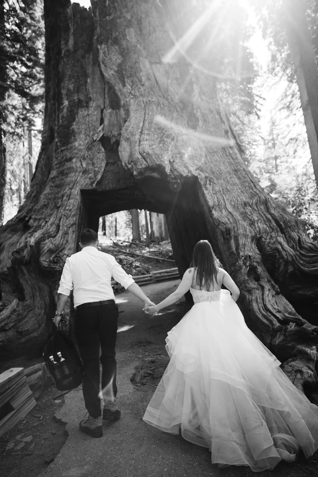 Not road closures nor potential government shutdowns could stop this Taft Point Elopement. You have to check out this peak existence day. 