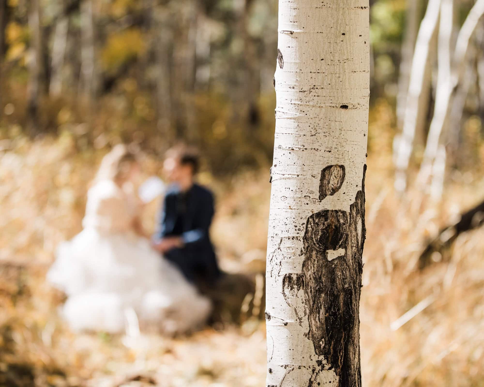 This Flagstaff Micro Wedding is a fall lovers dream. Full of yellow aspens and golden ferns and SO much love, you have to see the beauty here! 
