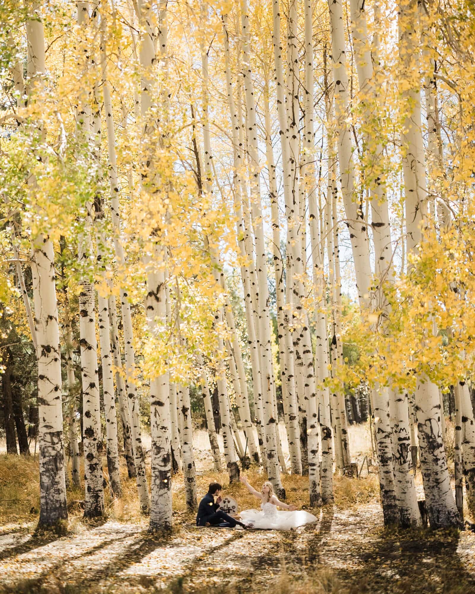 This Flagstaff Micro Wedding is a fall lovers dream. Full of yellow aspens and golden ferns and SO much love, you have to see the beauty here! 
