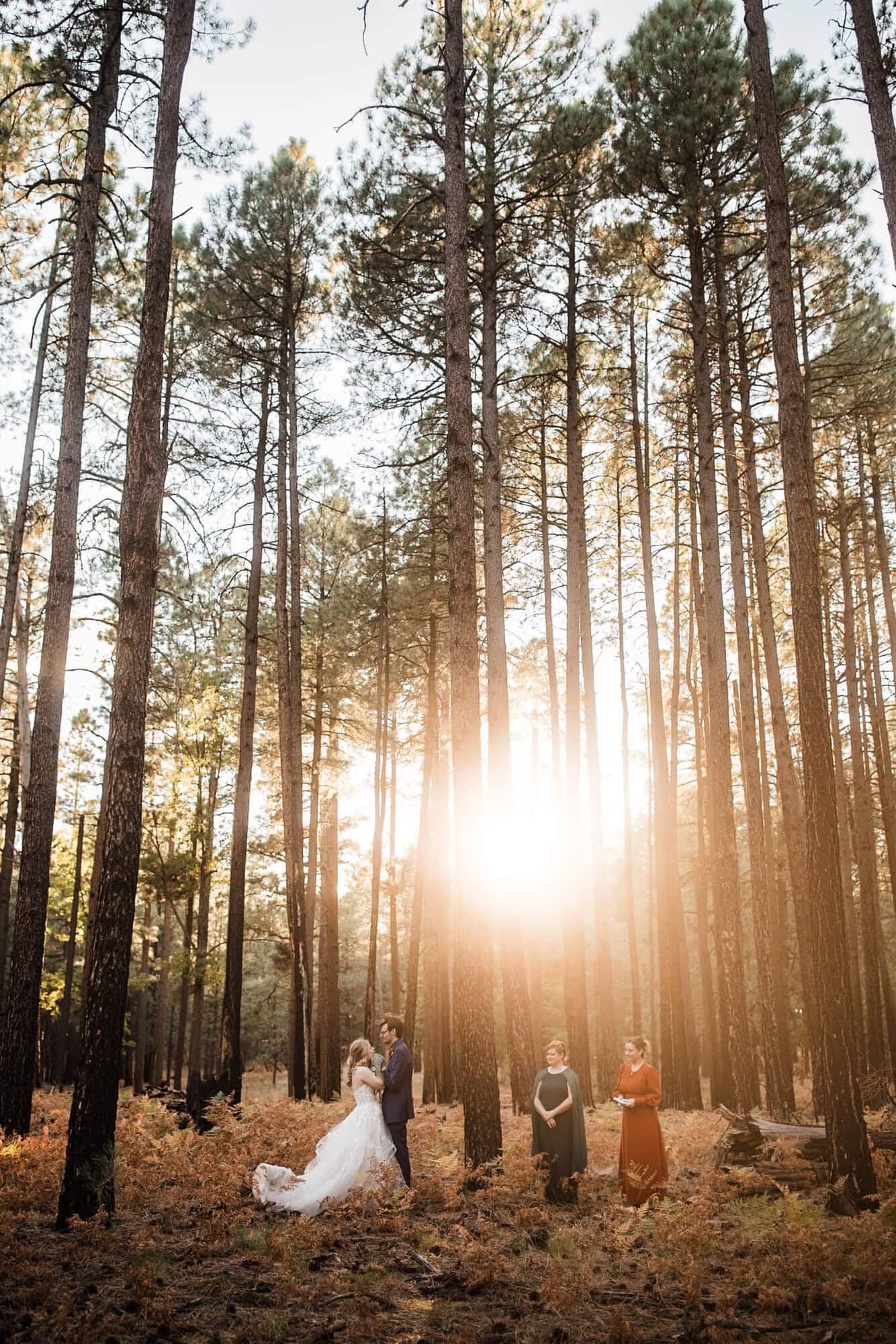 This Flagstaff Micro Wedding is a fall lovers dream. Full of yellow aspens and golden ferns and SO much love, you have to see the beauty here! 
