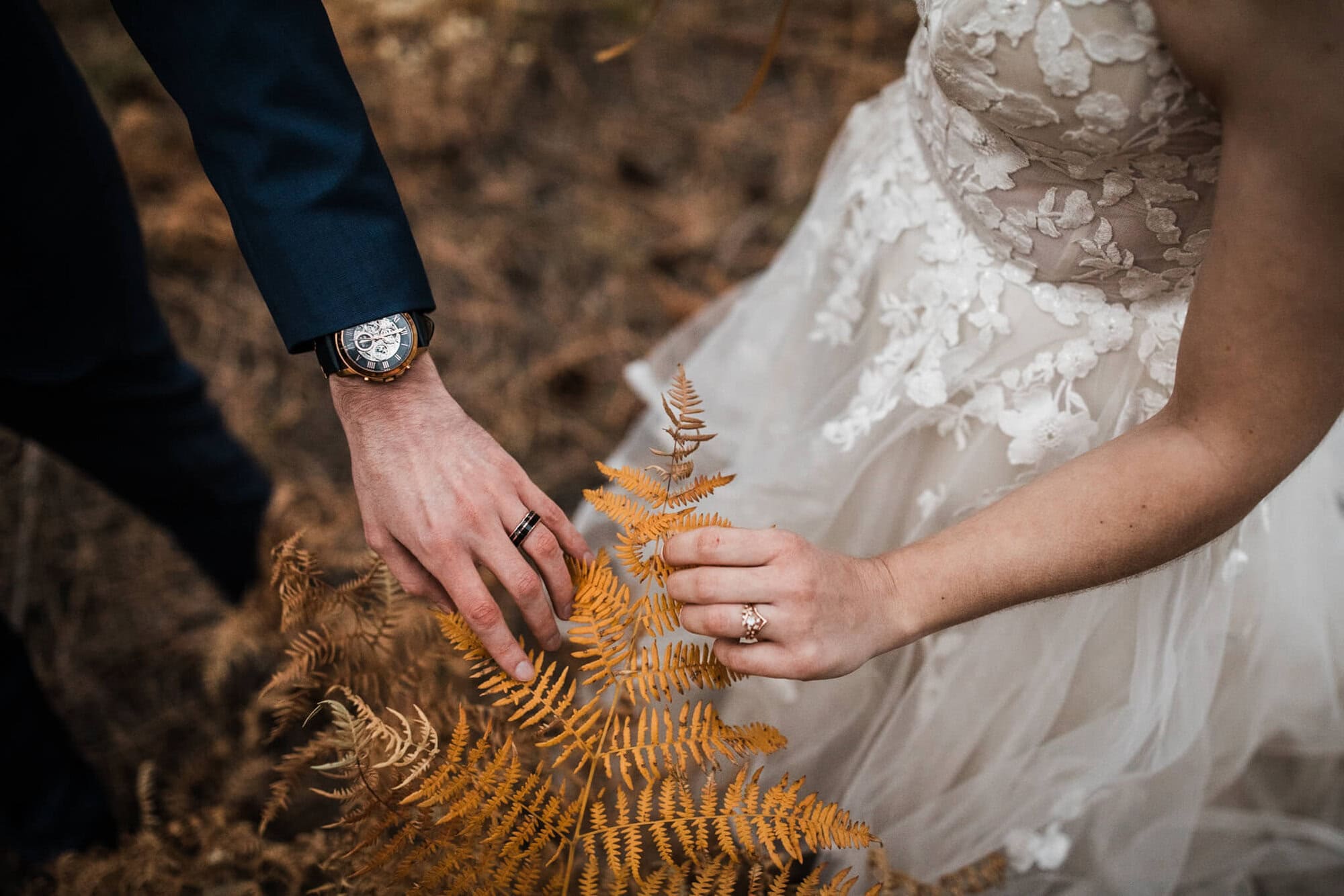 This Flagstaff Micro Wedding is a fall lovers dream. Full of yellow aspens and golden ferns and SO much love, you have to see the beauty here! 
