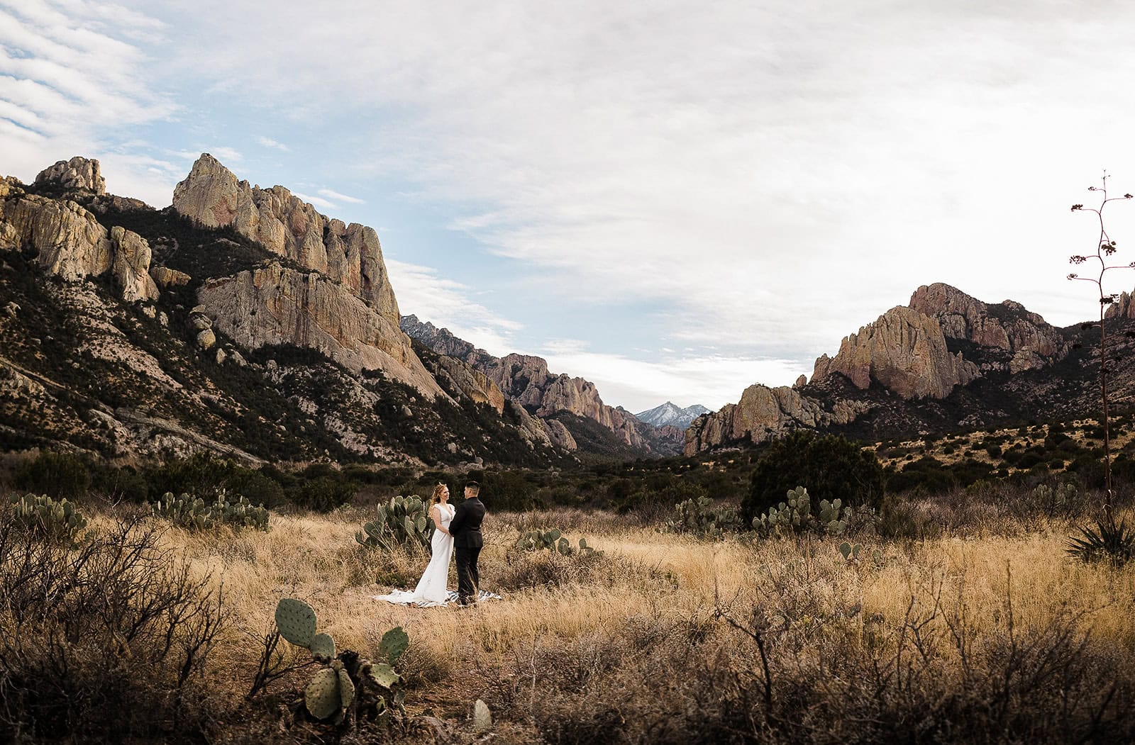 newlyweds hugging in the southern Arizona landscape. 