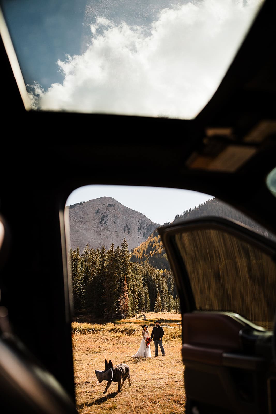 newlyweds with their dog in the mountains in fall during their wedding in the La Sal Mountains.