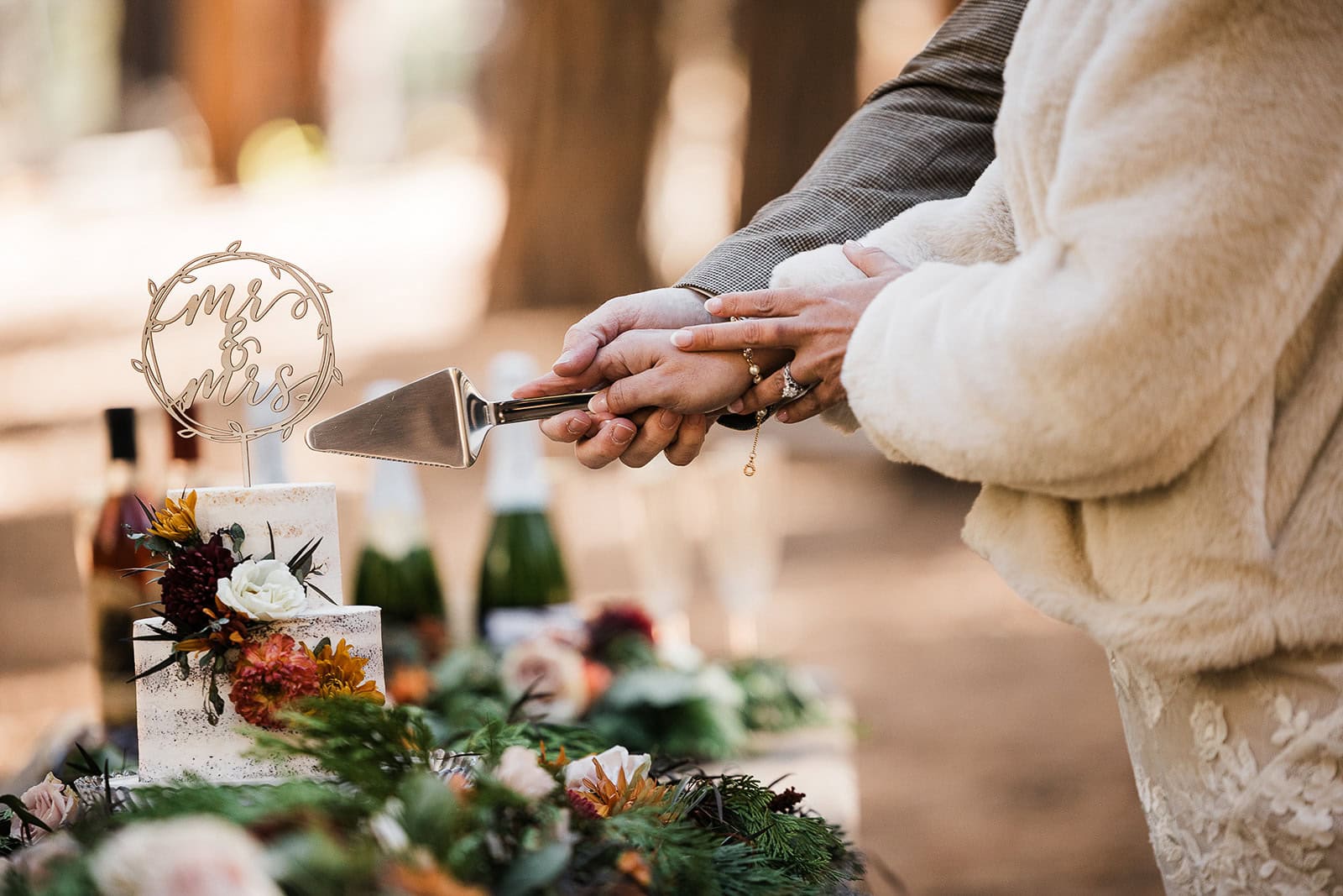 newlyweds cutting their wedding cake during their Yosemite micro wedding.