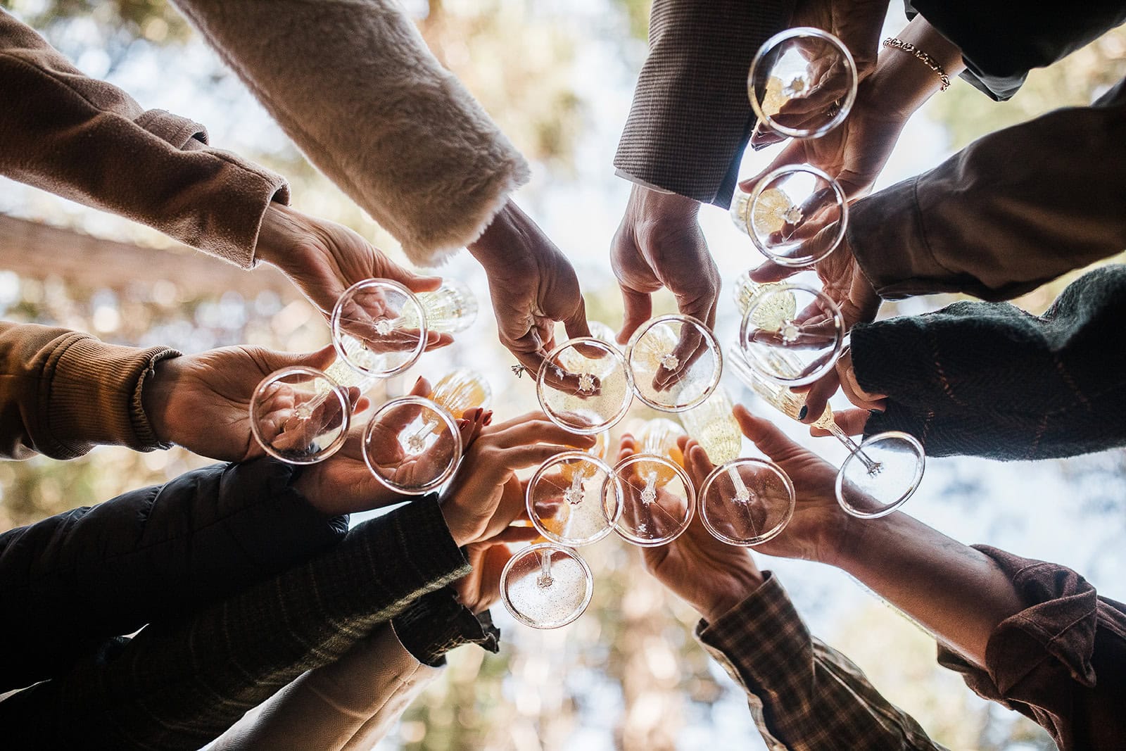 wedding guests cheersing champagne.