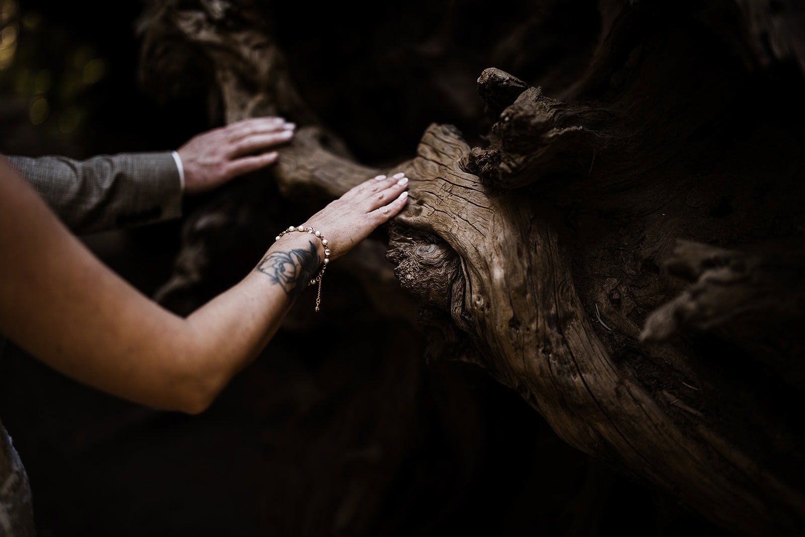 newlyweds touching a tree trunk.