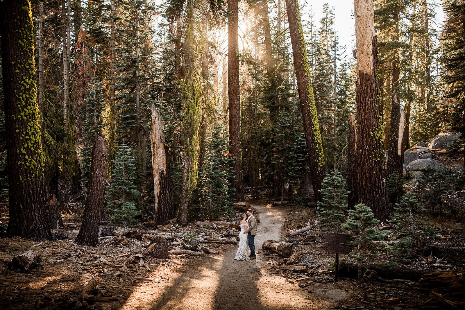 newlyweds standing on the trail in a forest kissing during their Yosemite micro wedding.